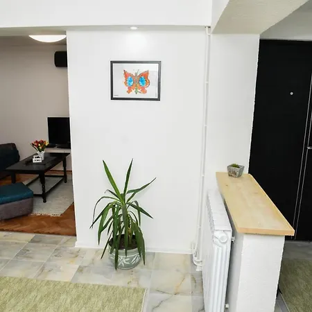 Appartamento L & S Banjica Belgrado Esterno foto