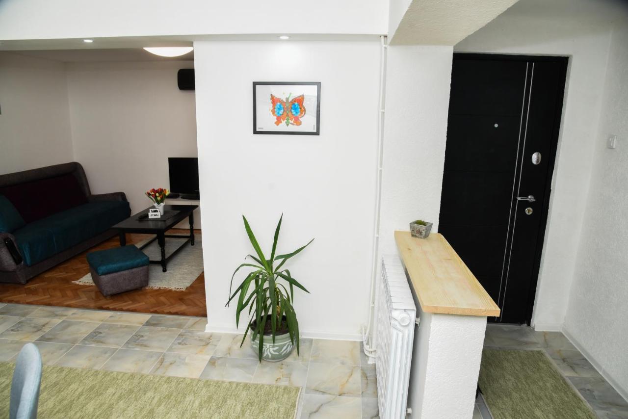 L & S Banjica Belgrado